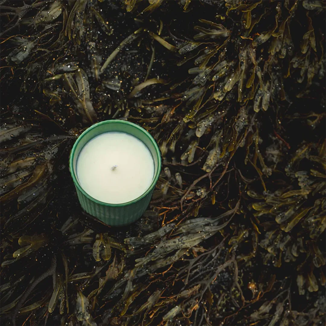 ALGA Rapeseed Wax Candle