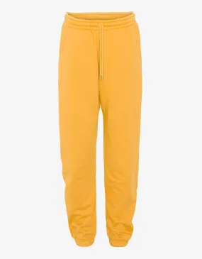 Organic Sweatpants - Burned Yellow